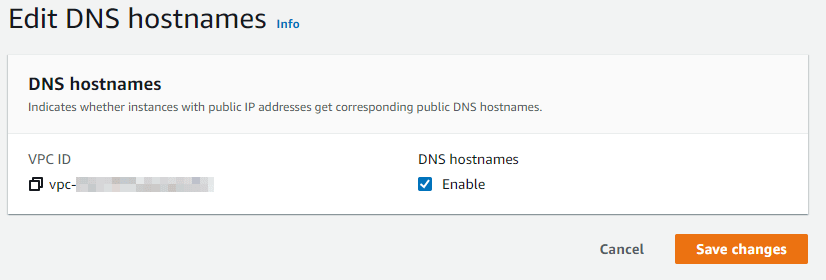 aws_dns_vpc